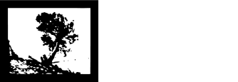 Isaiah Hoppe Fine Art